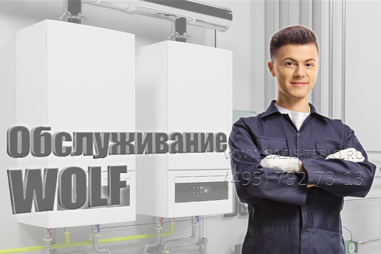 Обслуживание Wolf