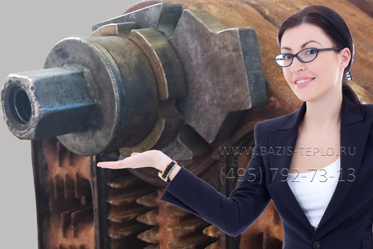 Заменить секцию Buderus Logano