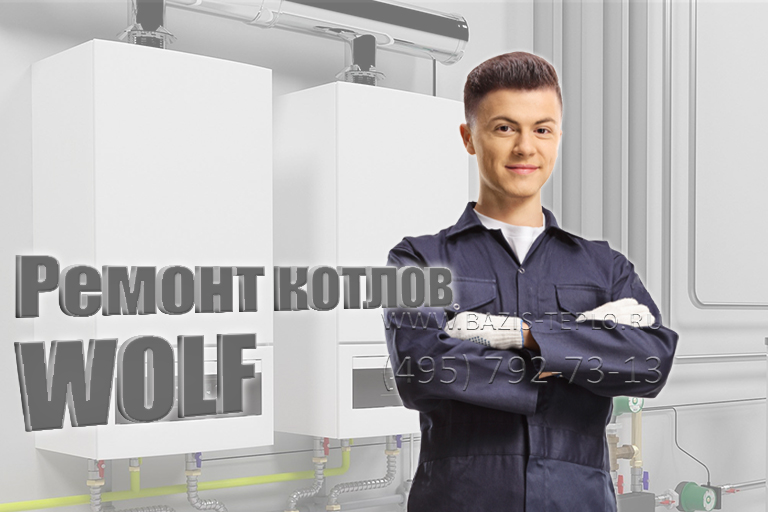Ремонт Wolf