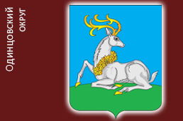 Одинцовский район